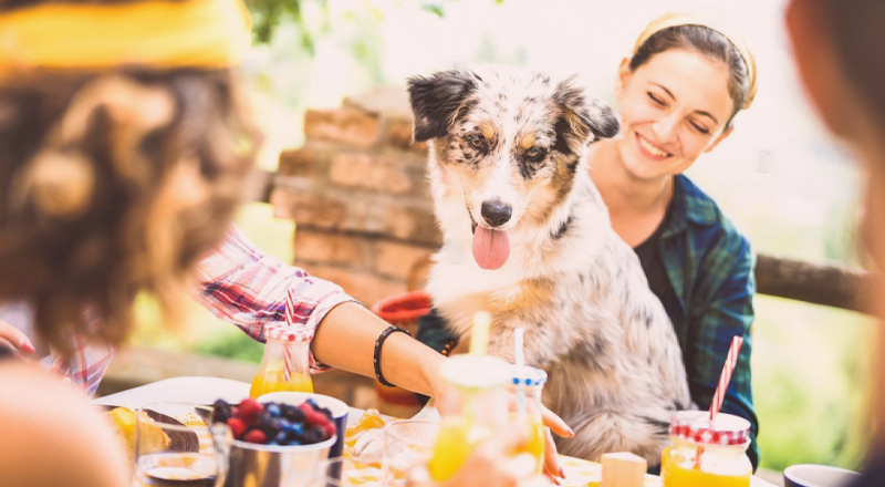 犬まとめ,果物,食べれる