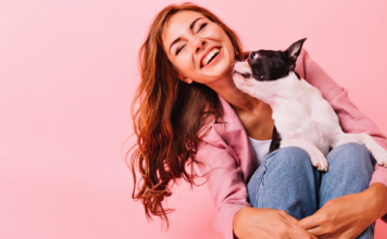 死ぬまで犬と暮らしたい。わたしが犬達からもらったモノ。