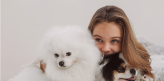 多頭飼いのメリット、デメリット-犬に囲まれて暮らしたい! 犬,多頭飼い