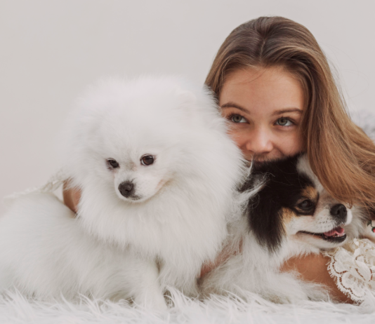 多頭飼いのメリット、デメリット-犬に囲まれて暮らしたい! 犬,多頭飼い