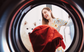 犬用品は犬用洗剤で洗う?!ヌルヌル&ニオイ対策 犬,洗濯洗剤