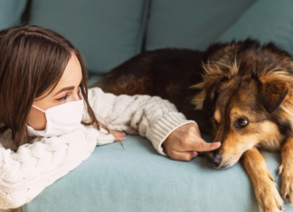 コロナ禍と愛すべき犬たち コロナ犬