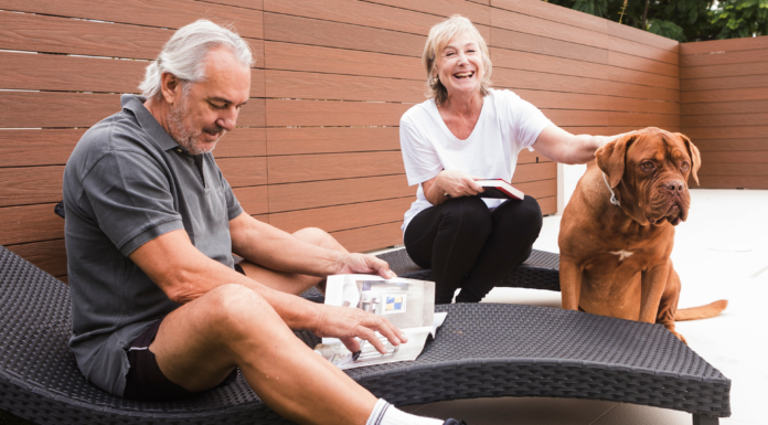 シニア犬を迎えよう! シニア犬,保護犬,メリット