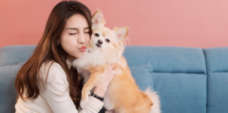 第二の人生!犬を飼って変わったこと。 犬まとめ.com,犬との暮らし