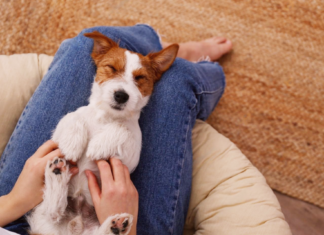 不思議可愛い!うちの愛犬マイルール 犬まとめ,マイルール,クセ