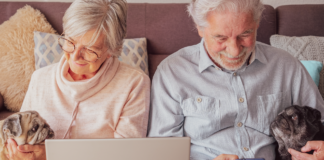 老犬ホームってしってる? 犬,老犬ホーム,介護