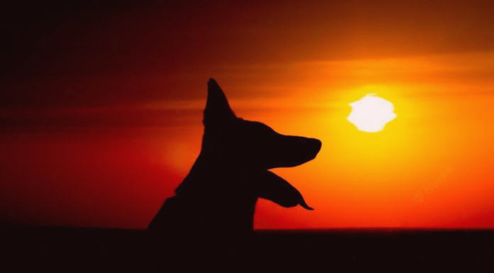 お骨ってどうするの?供養の種類を知ろう