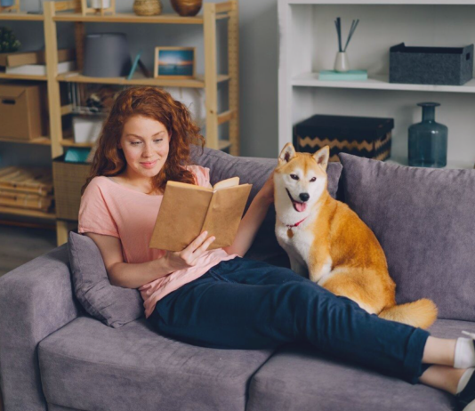 もう読んだ? おススメ犬漫画(芽萌編) 犬まとめ,犬,漫画,オススメ