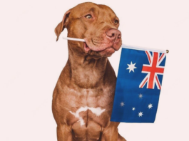 犬まとめ,オーストラリア,動物愛護先進国