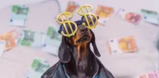 大公開!大型犬&中型犬の養育費 犬まとめ,犬,かかるお金,養育費,