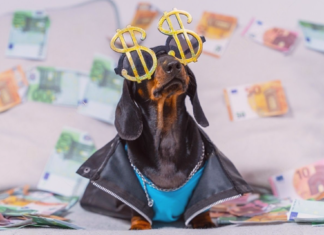 大公開!大型犬&中型犬の養育費 犬まとめ,犬,かかるお金,養育費,