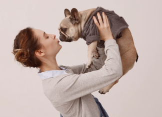 愛犬に服を着せるということ