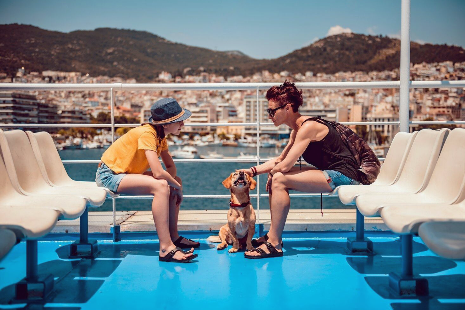 犬まとめ,船旅,犬と旅行
