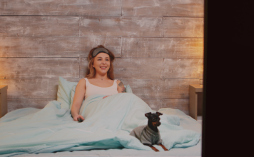 オススメ犬映画-芽萌編- 犬まとめ,犬,映画,オススメ