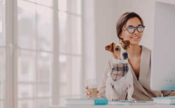 犬系の資格〜芽萌編〜 犬まとめ,犬,資格,犬の資格