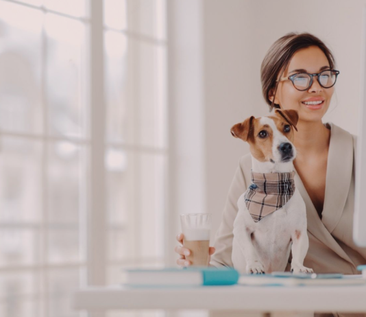 犬系の資格〜芽萌編〜 犬まとめ,犬,資格,犬の資格