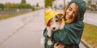 外トイレ派は悪天候時どうしてる!? 犬まとめ,犬,雨,台風,,トイレ