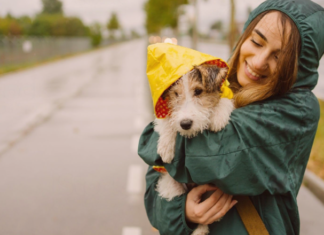 外トイレ派は悪天候時どうしてる!? 犬まとめ,犬,雨,台風,,トイレ