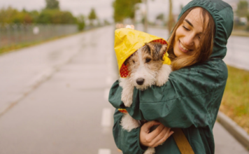 外トイレ派は悪天候時どうしてる!? 犬まとめ,犬,雨,台風,,トイレ