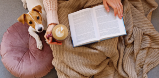 秋の夜長は読書!犬が出てくる小説・エッセイ本 犬まとめ,犬,本,エッセイ,読書