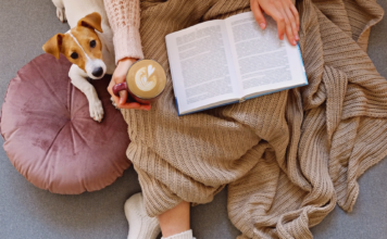 秋の夜長は読書!犬が出てくる小説・エッセイ本 犬まとめ,犬,本,エッセイ,読書
