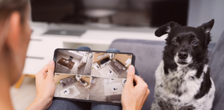 愛犬がお留守番!ペットカメラある? 犬まとめ,犬,ペットカメラ,お留守番