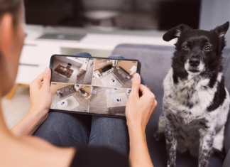 愛犬がお留守番!ペットカメラある? 犬まとめ,犬,ペットカメラ,お留守番