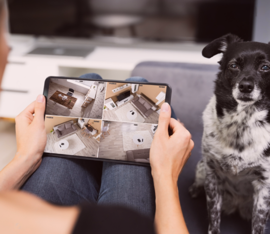 愛犬がお留守番!ペットカメラある? 犬まとめ,犬,ペットカメラ,お留守番