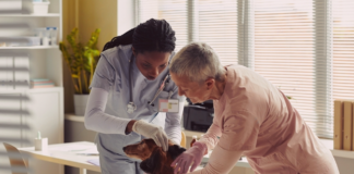 愛犬の動物病院で検査って大事。① 犬まとめ,犬,検査,精密検査,動物病院