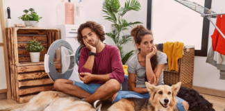 犬のお悩み募集 アナタだけじゃない! 犬まとめ,犬,悩み,相談