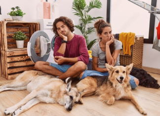 犬のお悩み募集 アナタだけじゃない! 犬まとめ,犬,悩み,相談