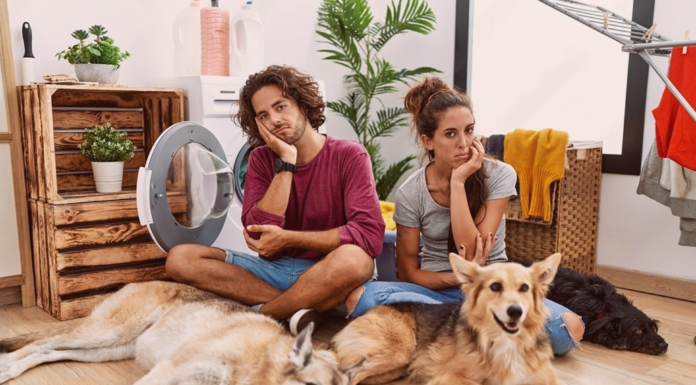 犬のお悩み募集 アナタだけじゃない! 犬まとめ,犬,悩み,相談